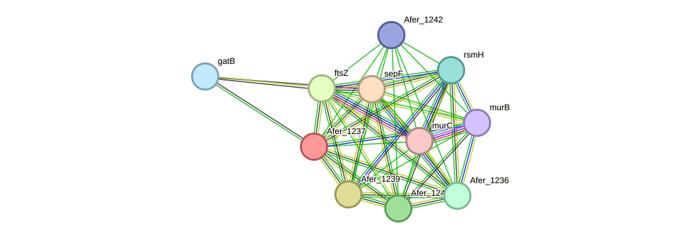 STRING protein interaction network