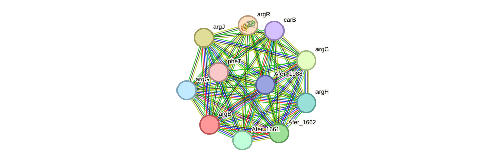 STRING protein interaction network