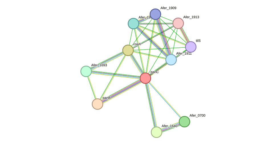 STRING protein interaction network