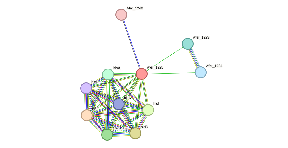 STRING protein interaction network