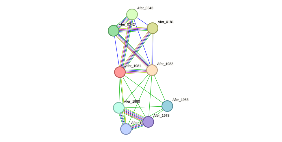 STRING protein interaction network