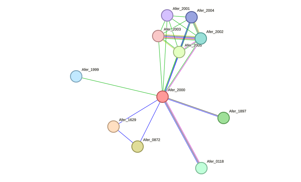 STRING protein interaction network