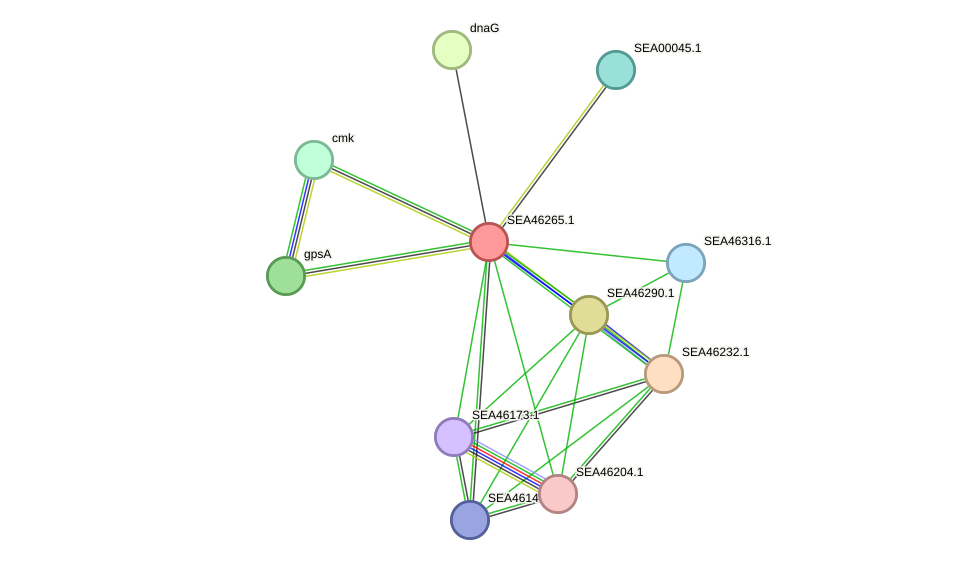 STRING protein interaction network