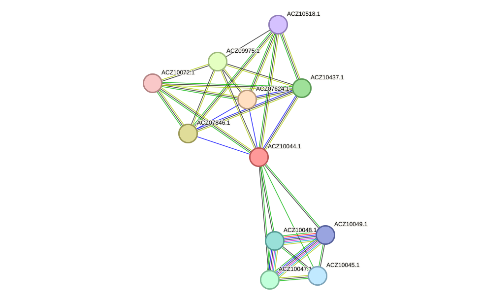 STRING protein interaction network