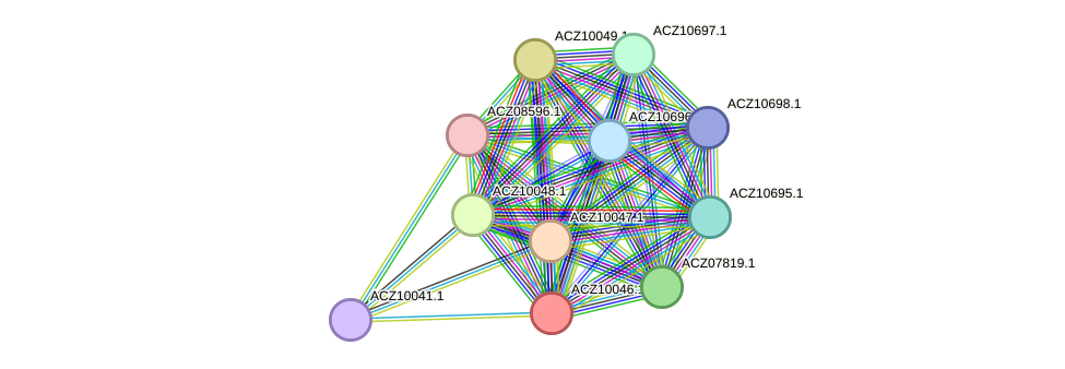 STRING protein interaction network