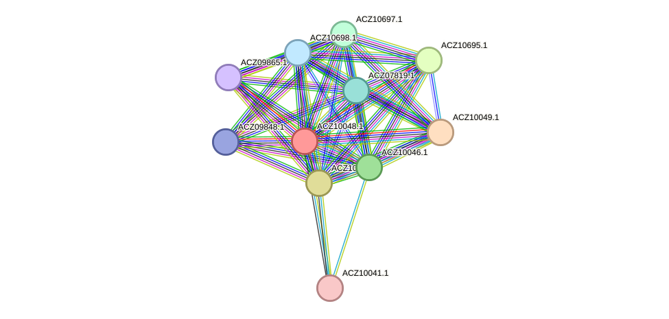 STRING protein interaction network