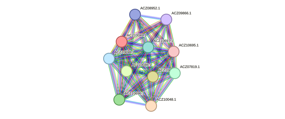 STRING protein interaction network