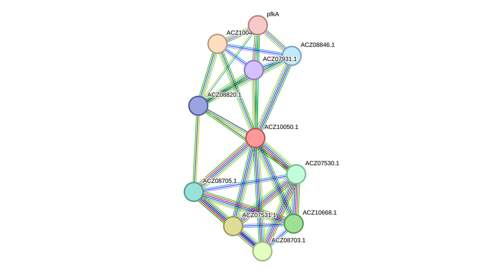 STRING protein interaction network