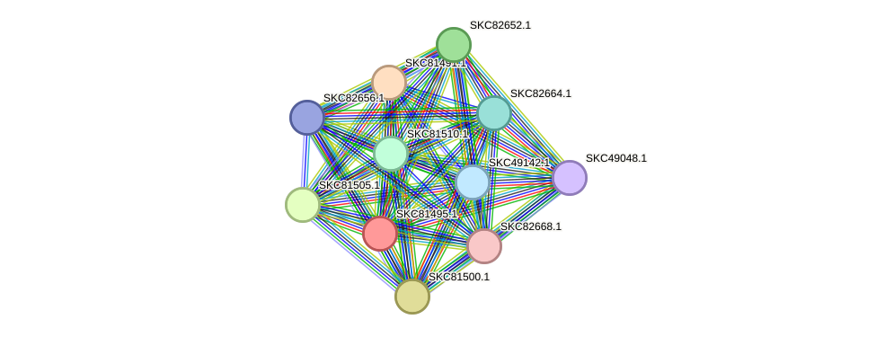 STRING protein interaction network