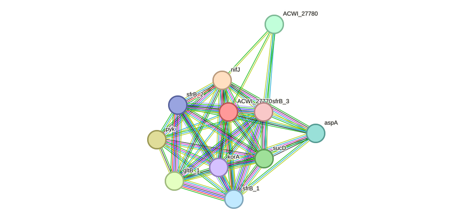 STRING protein interaction network