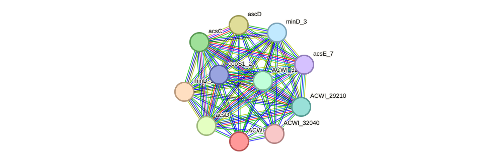 STRING protein interaction network