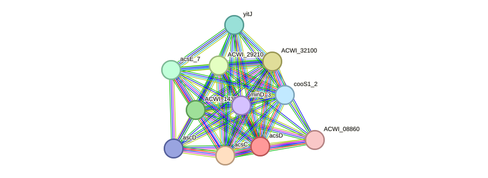 STRING protein interaction network