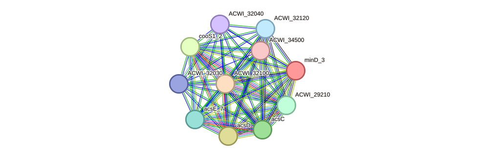 STRING protein interaction network