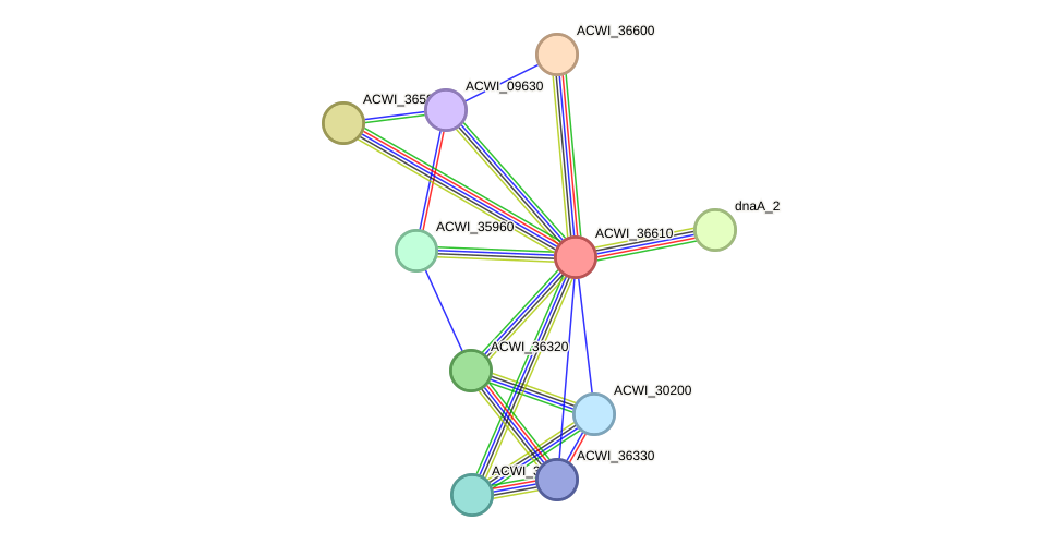 STRING protein interaction network