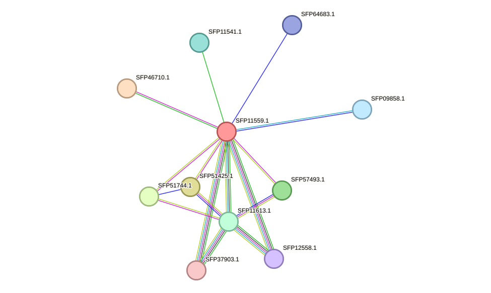 STRING protein interaction network