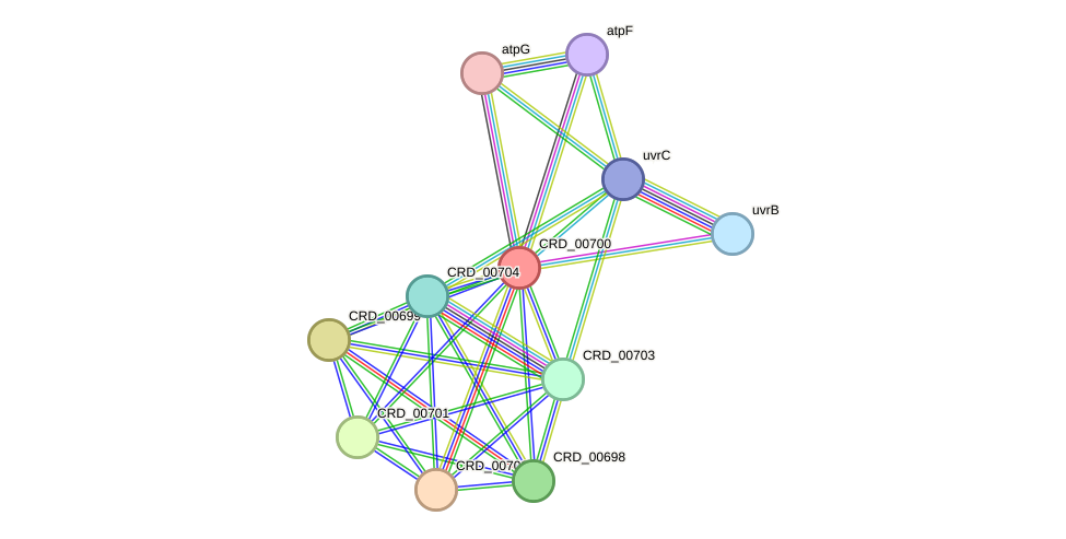 STRING protein interaction network