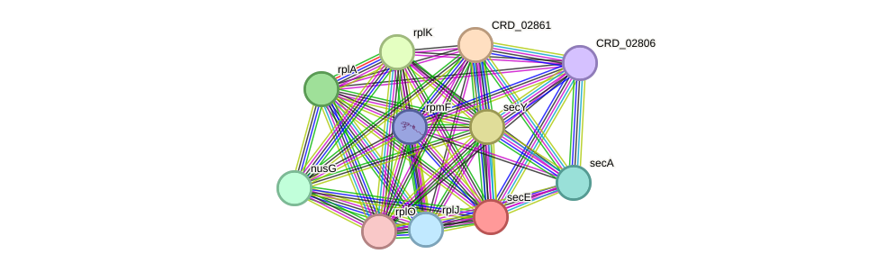 STRING protein interaction network