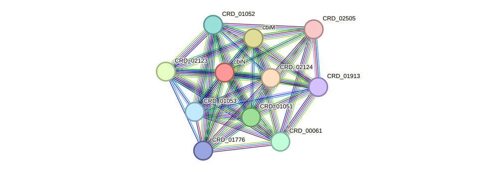 STRING protein interaction network