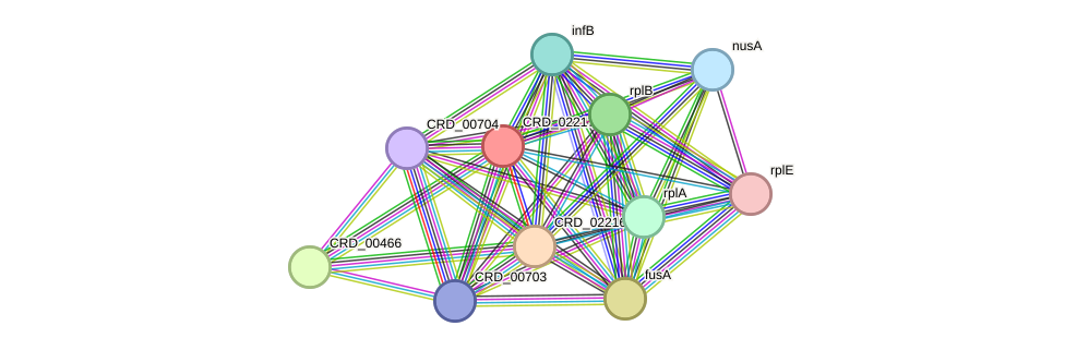 STRING protein interaction network