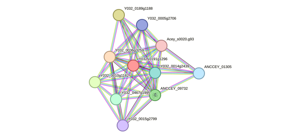 STRING protein interaction network