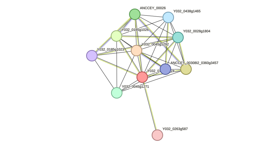 STRING protein interaction network