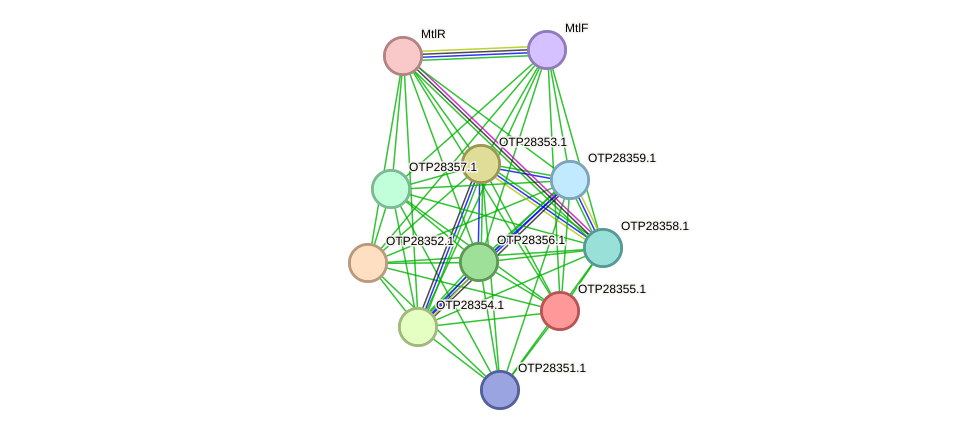 STRING protein interaction network