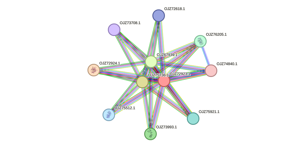 STRING protein interaction network