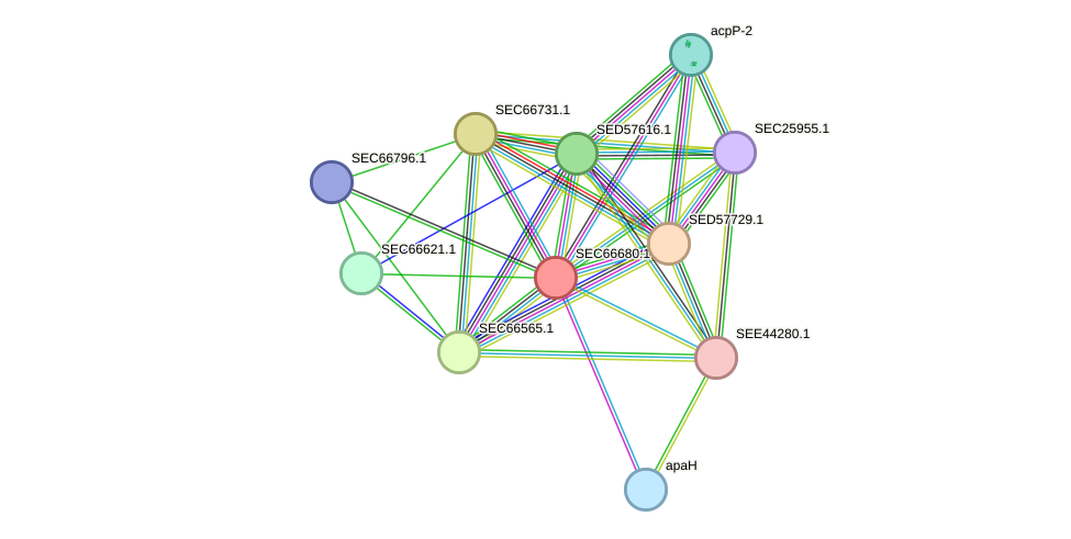 STRING protein interaction network
