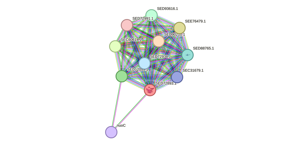 STRING protein interaction network