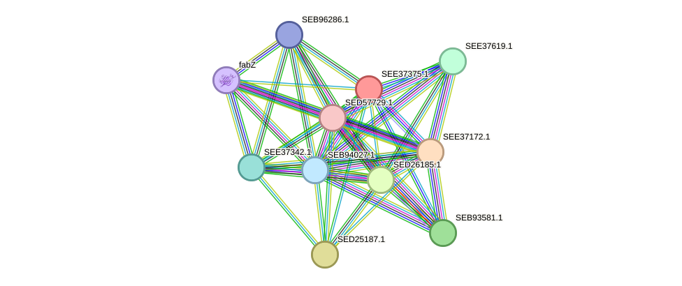 STRING protein interaction network