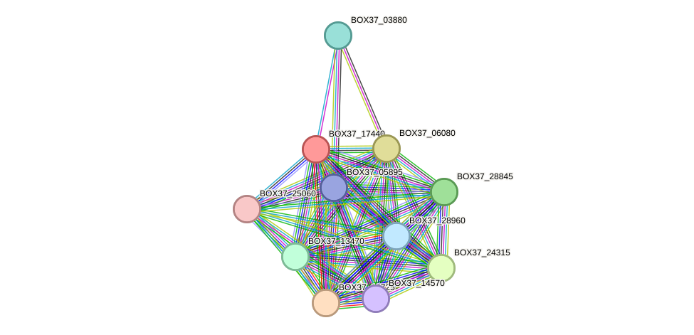 STRING protein interaction network