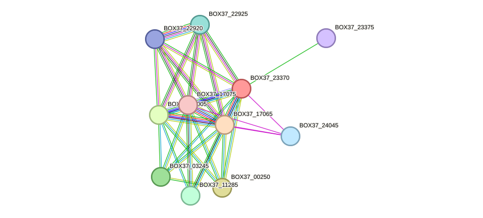 STRING protein interaction network