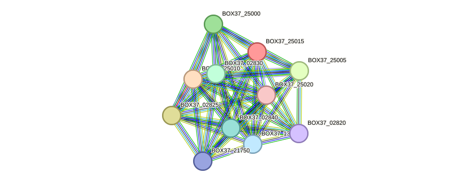 STRING protein interaction network