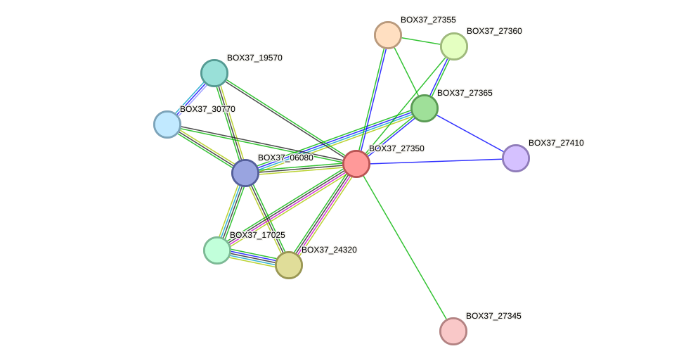 STRING protein interaction network