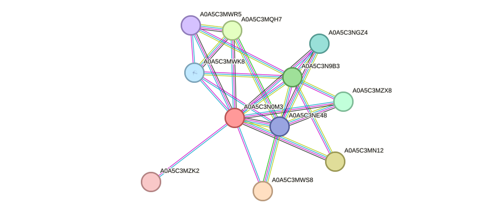 STRING protein interaction network