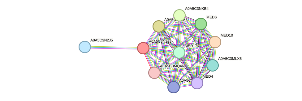 STRING protein interaction network