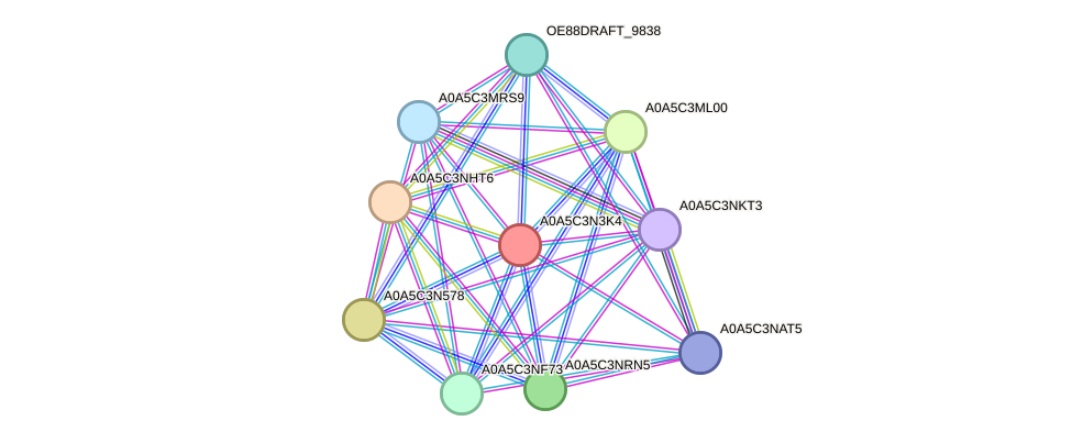 STRING protein interaction network