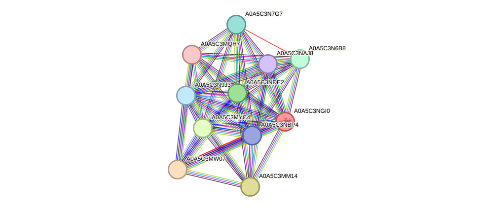 STRING protein interaction network