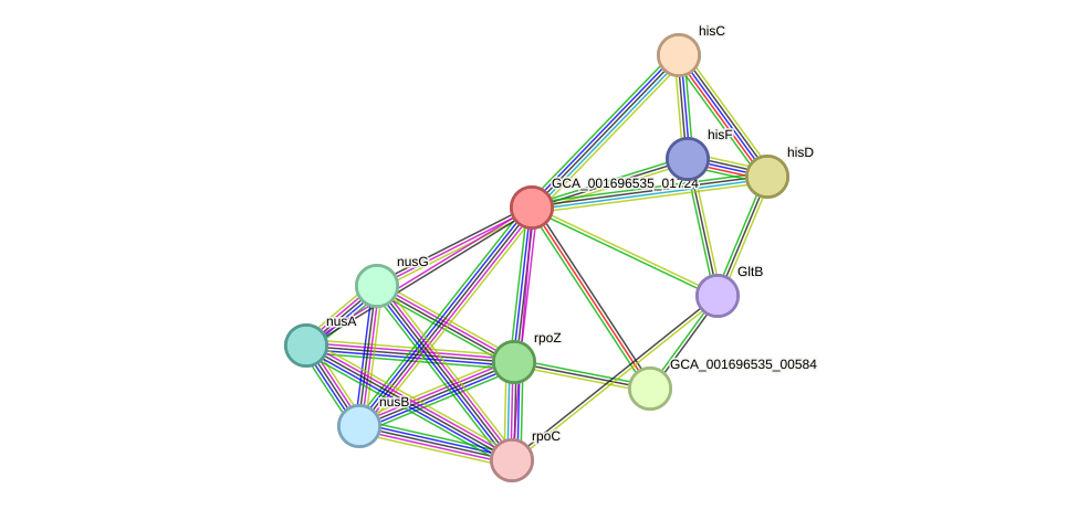 STRING protein interaction network