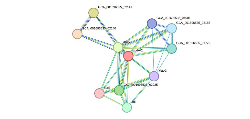 STRING protein interaction network