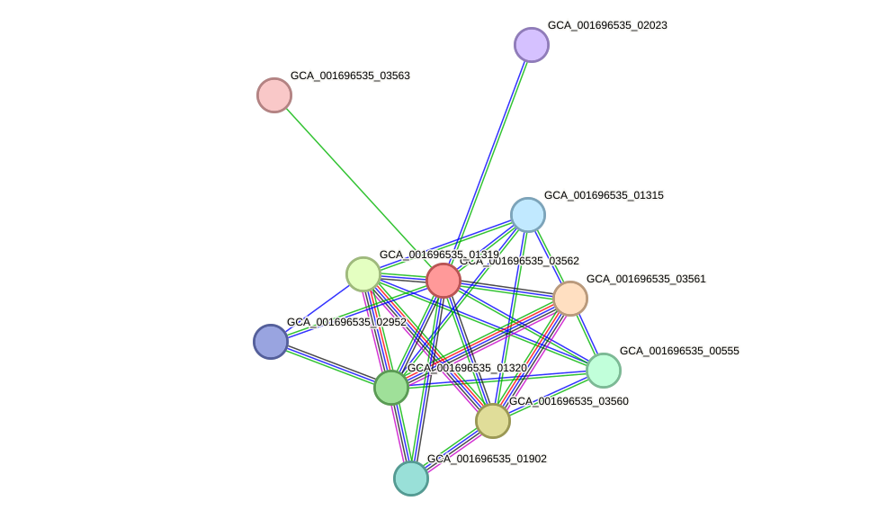 STRING protein interaction network