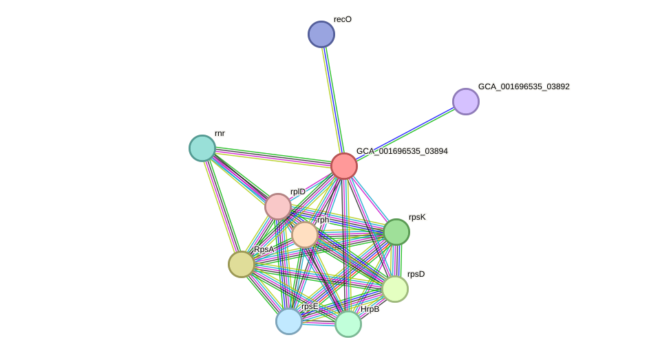 STRING protein interaction network