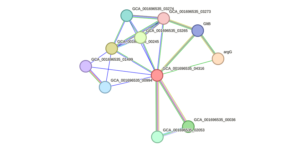 STRING protein interaction network