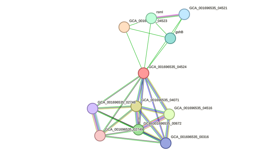 STRING protein interaction network