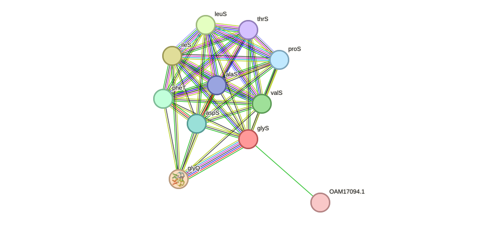 STRING protein interaction network