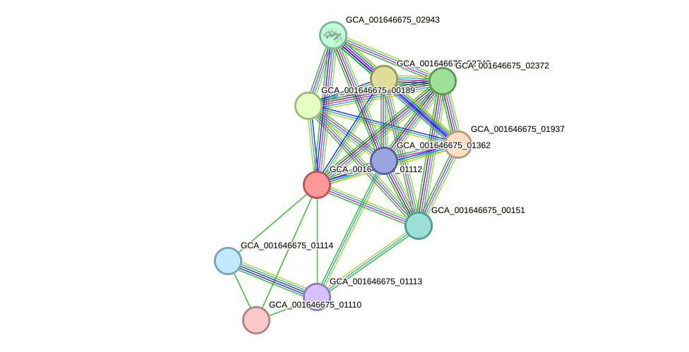 STRING protein interaction network