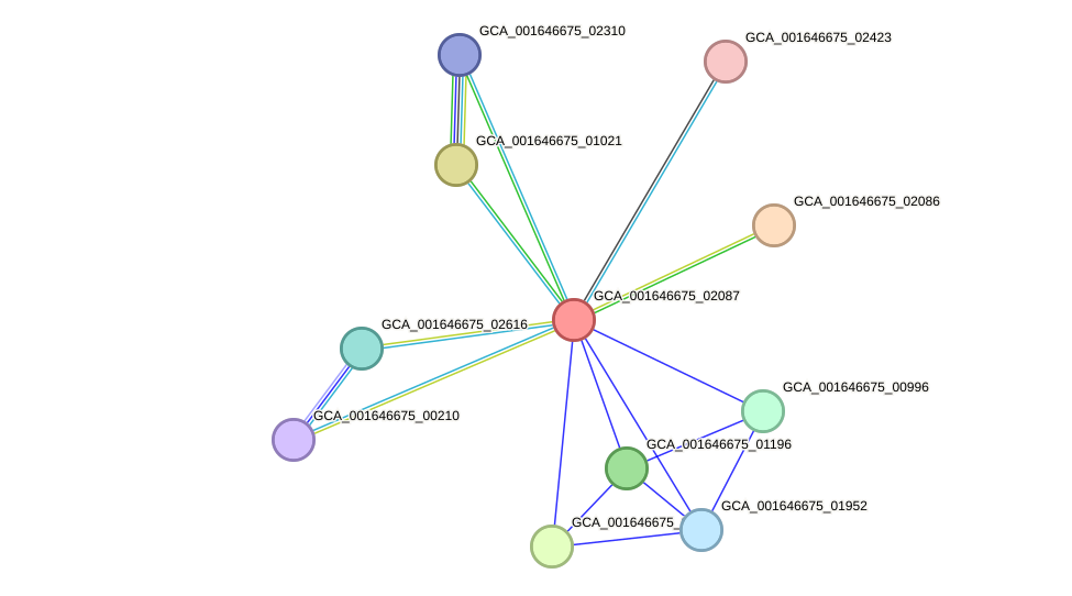 STRING protein interaction network