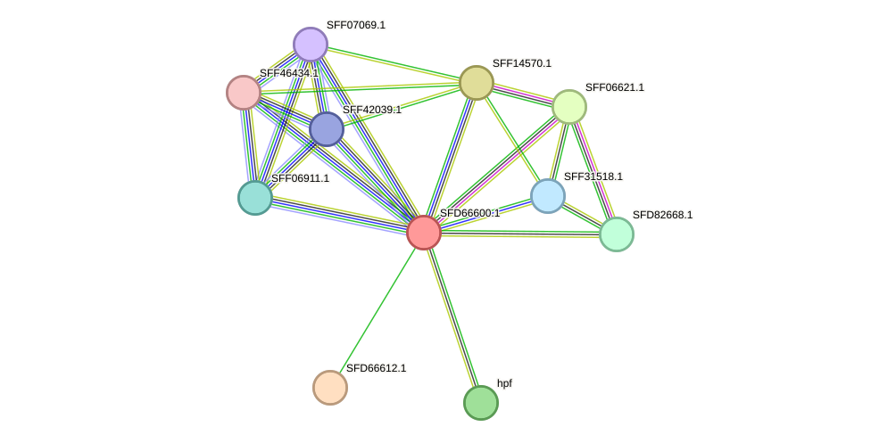 STRING protein interaction network