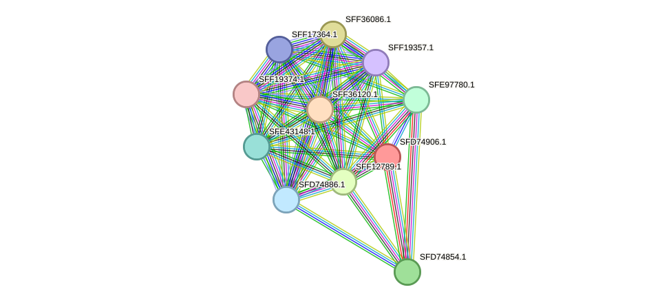 STRING protein interaction network