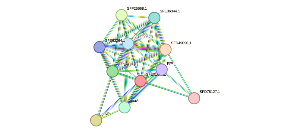 STRING protein interaction network